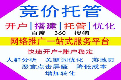 SEM托管实战：某电商平台的成功经验
